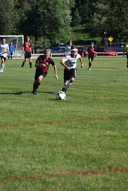 导致最终被 导致最终被