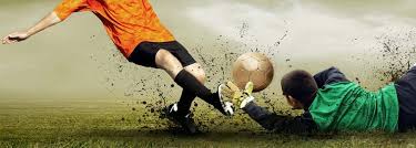 职业生涯风 职业生涯风