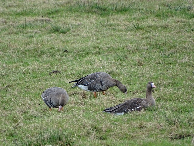 拼尽全力 拼尽全力